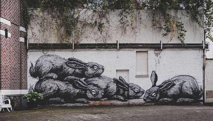 Read Street Art Gent by CORLAZZZOLI