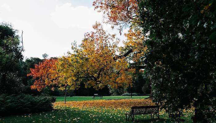 Read Garden in the Fall by Andari Winnie