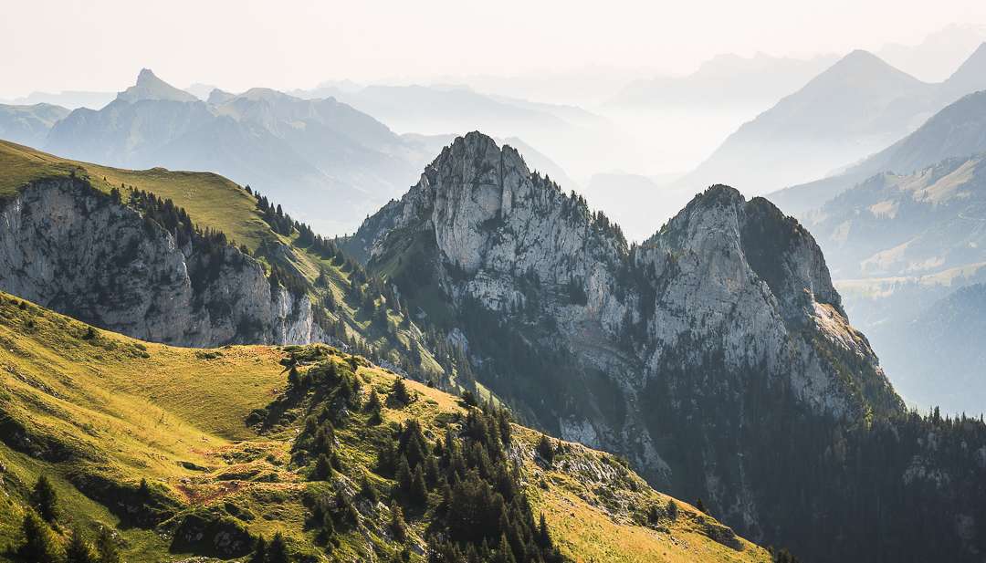 Read Summer in Switzerland by Florence Quinn