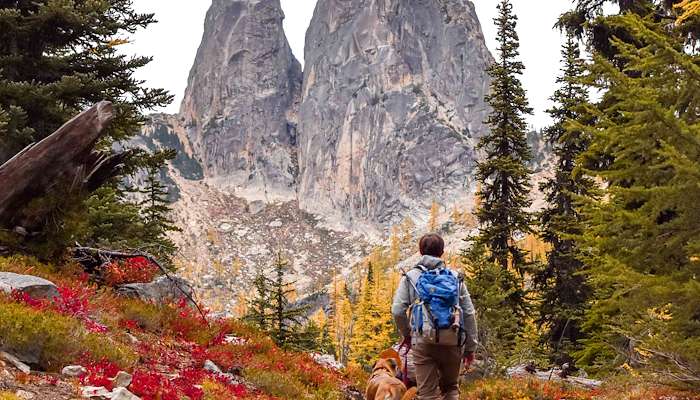 Read Fall in North Cascades National Park by Jenna Elberts