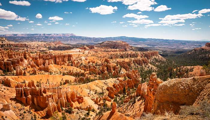 Read Bryce Canyon by Charlie Solorzano