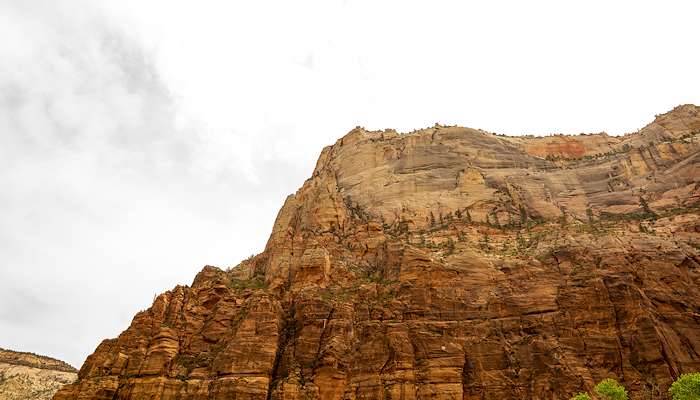 Read Zion National Park Photo Gallery | Majestic Landscapes & Canyons by Charlie Solorzano