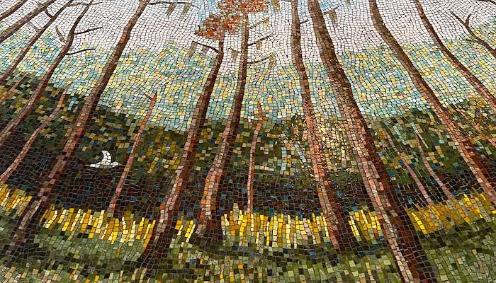 Read Buenos Aires by yoda