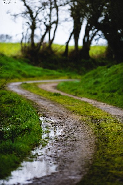 A photo in this story