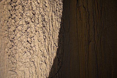 A photo in this story