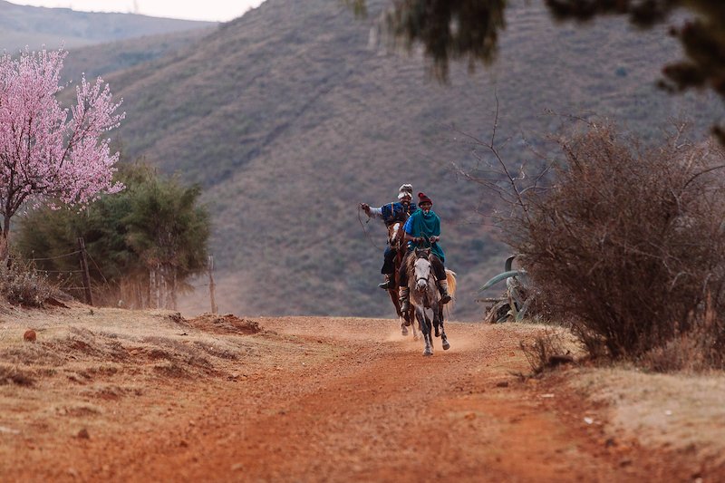 On the road to the border, we stumbled upon a Bosotho horse race taking place in a small village.
