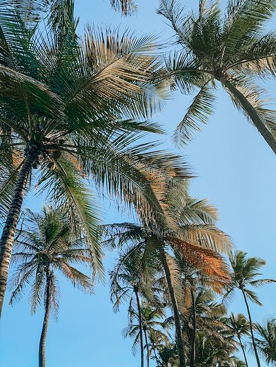A photo in this story