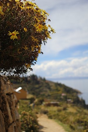A photo in this story