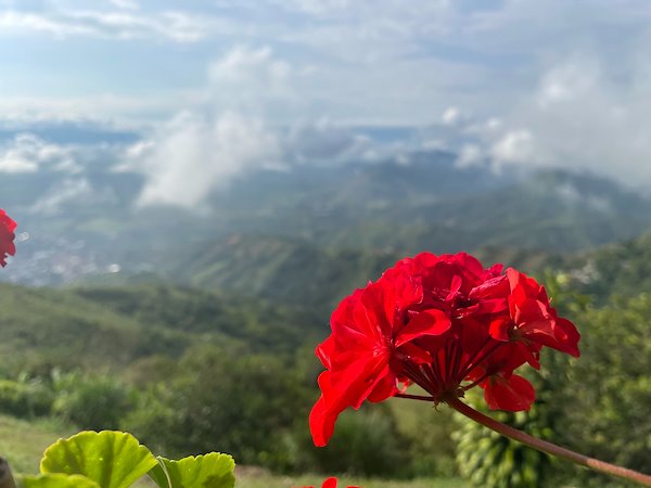 A photo in this story