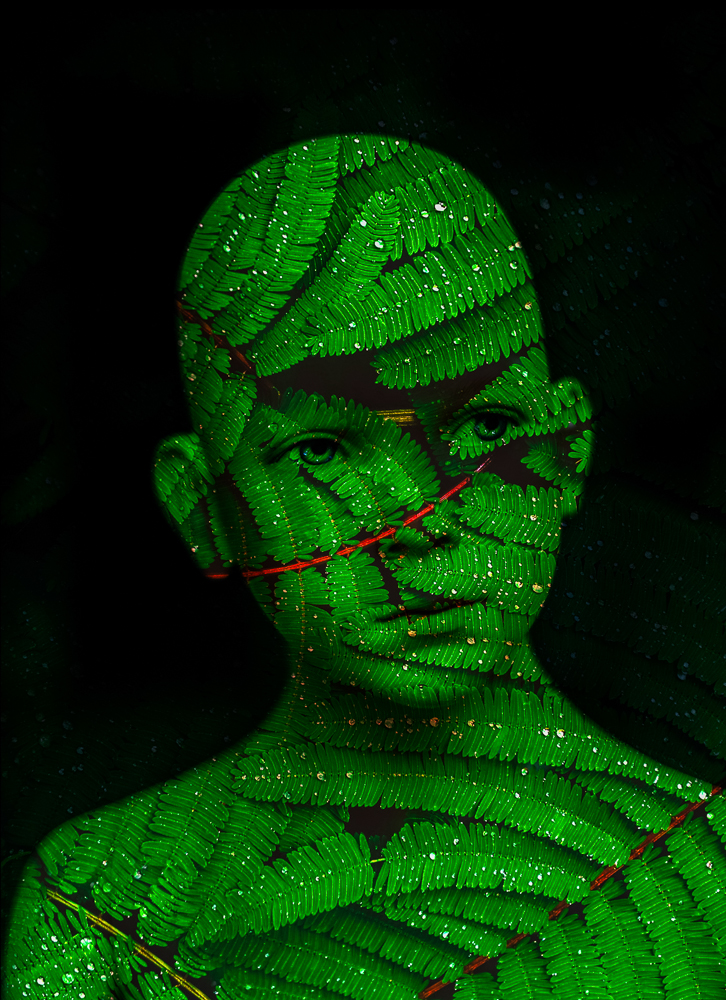 'Fern Boy' by Cristina Schek