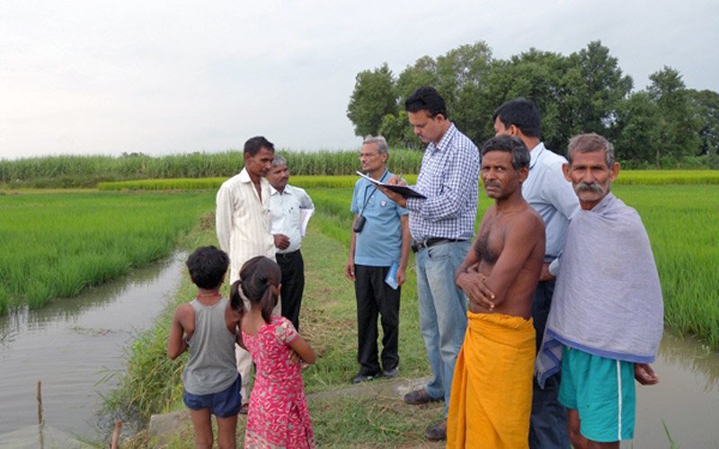 Sudhanshu Singh talks with the farmers in a village in Odisha to monitor the performance of flood-tolerant Swarna-Sub1.