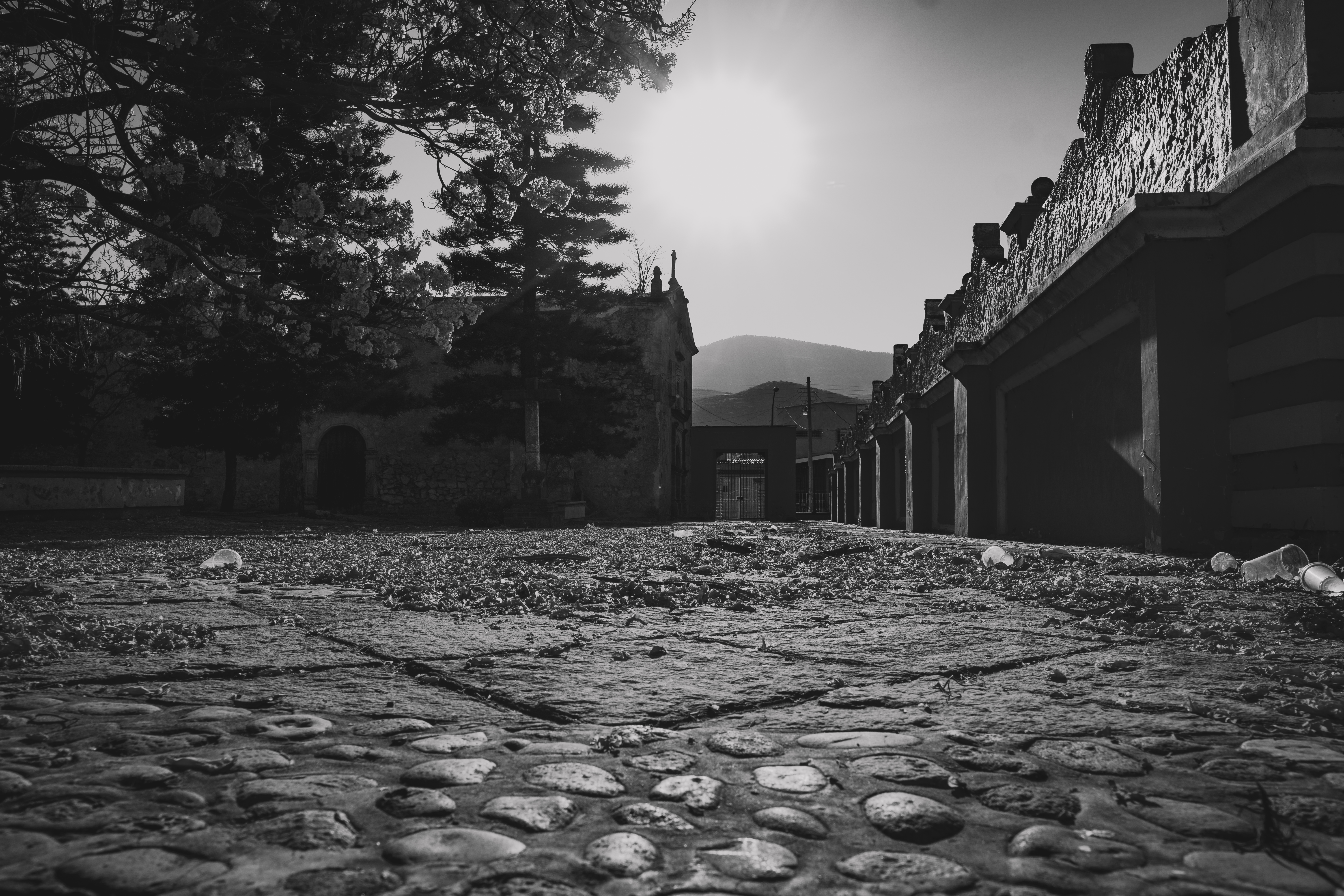 A photo in this story