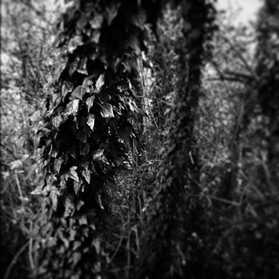 A photo in this story