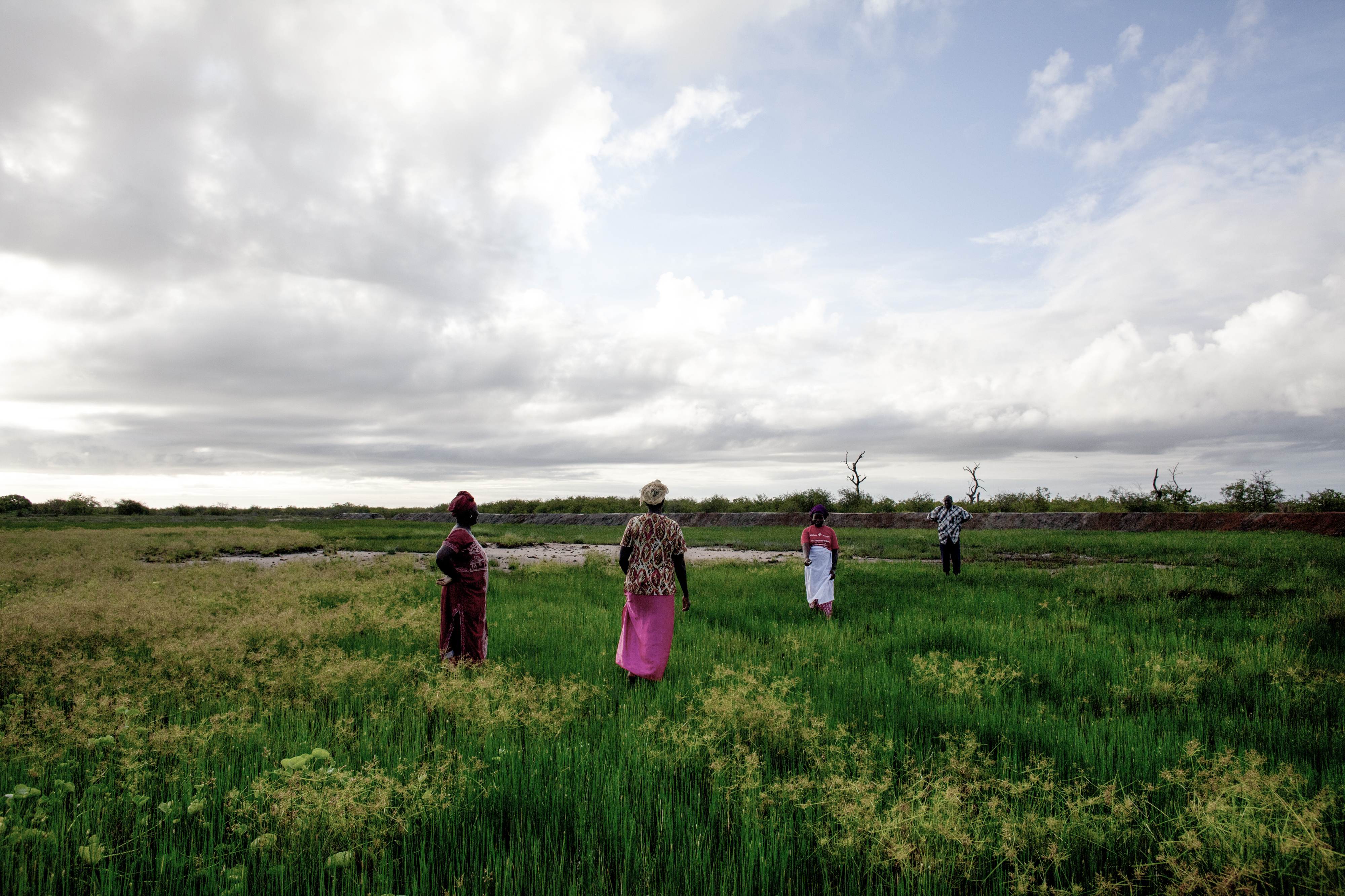 Walking towards the dyke across once abandoned fields...   © Jane Hahn / ActionAid