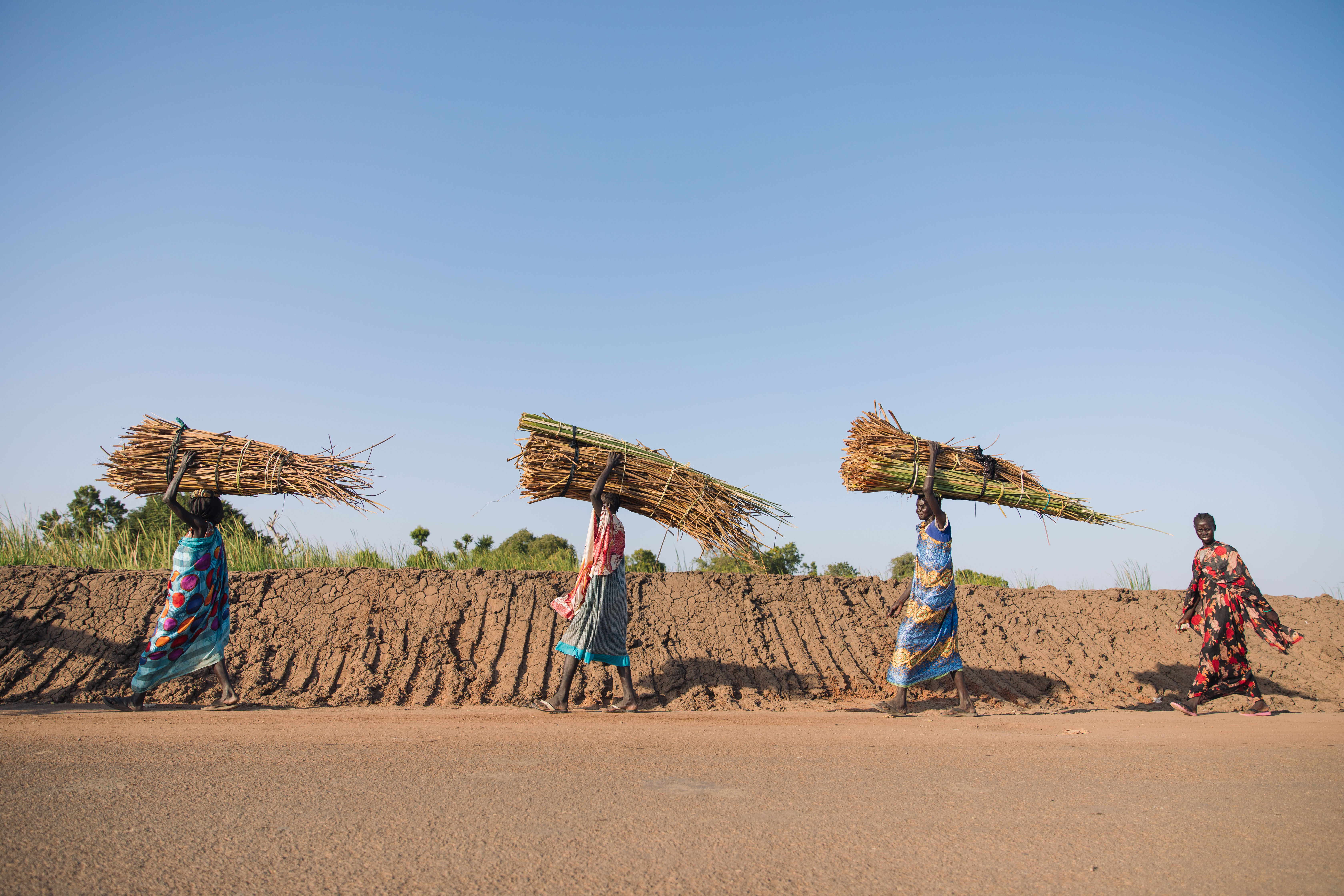 Women walk past a dike while carrying dry papyrus reeds in Rubkona town ...