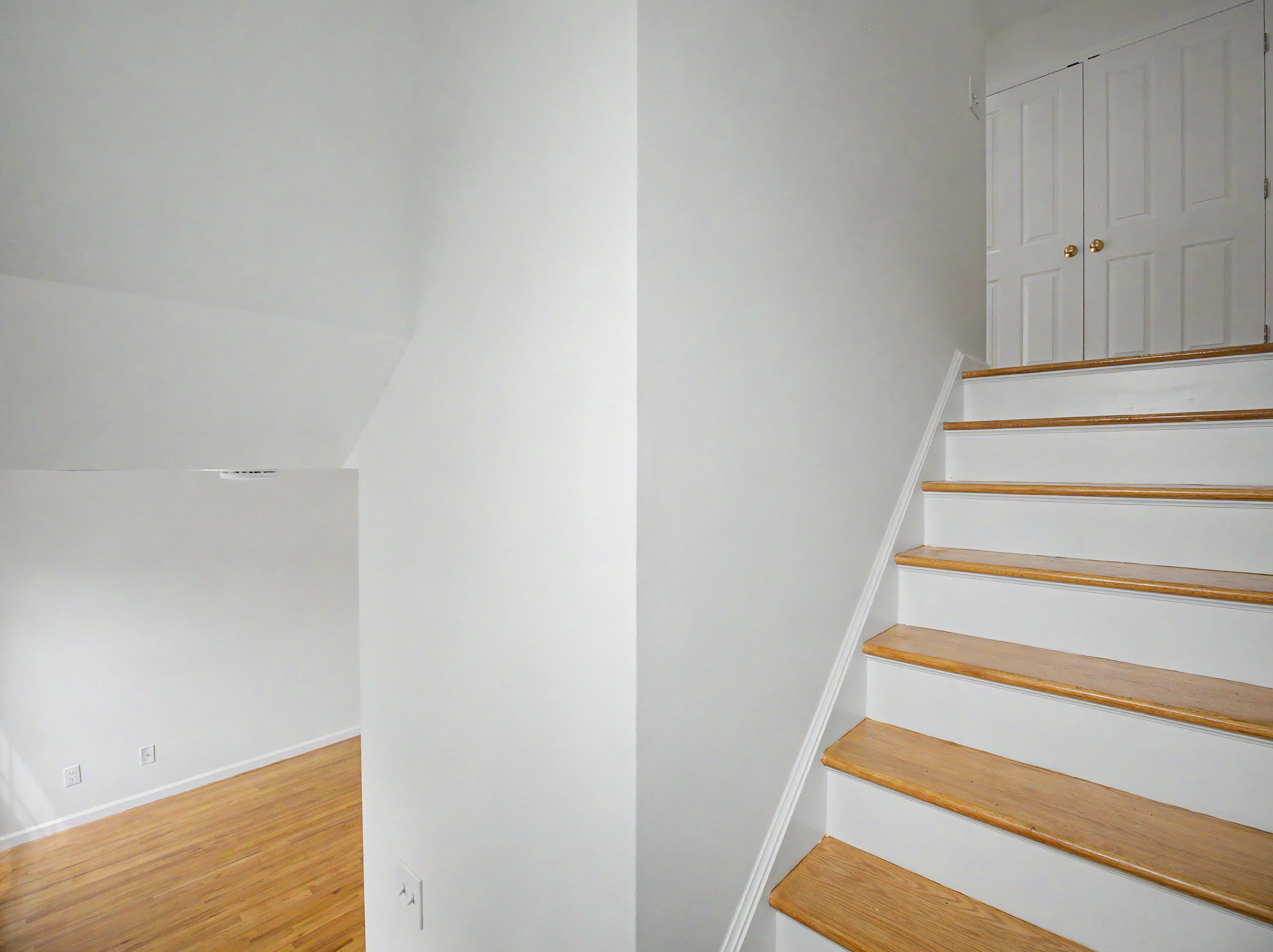 Home in Norwalk, Connecticut, photographed by Ari Lee