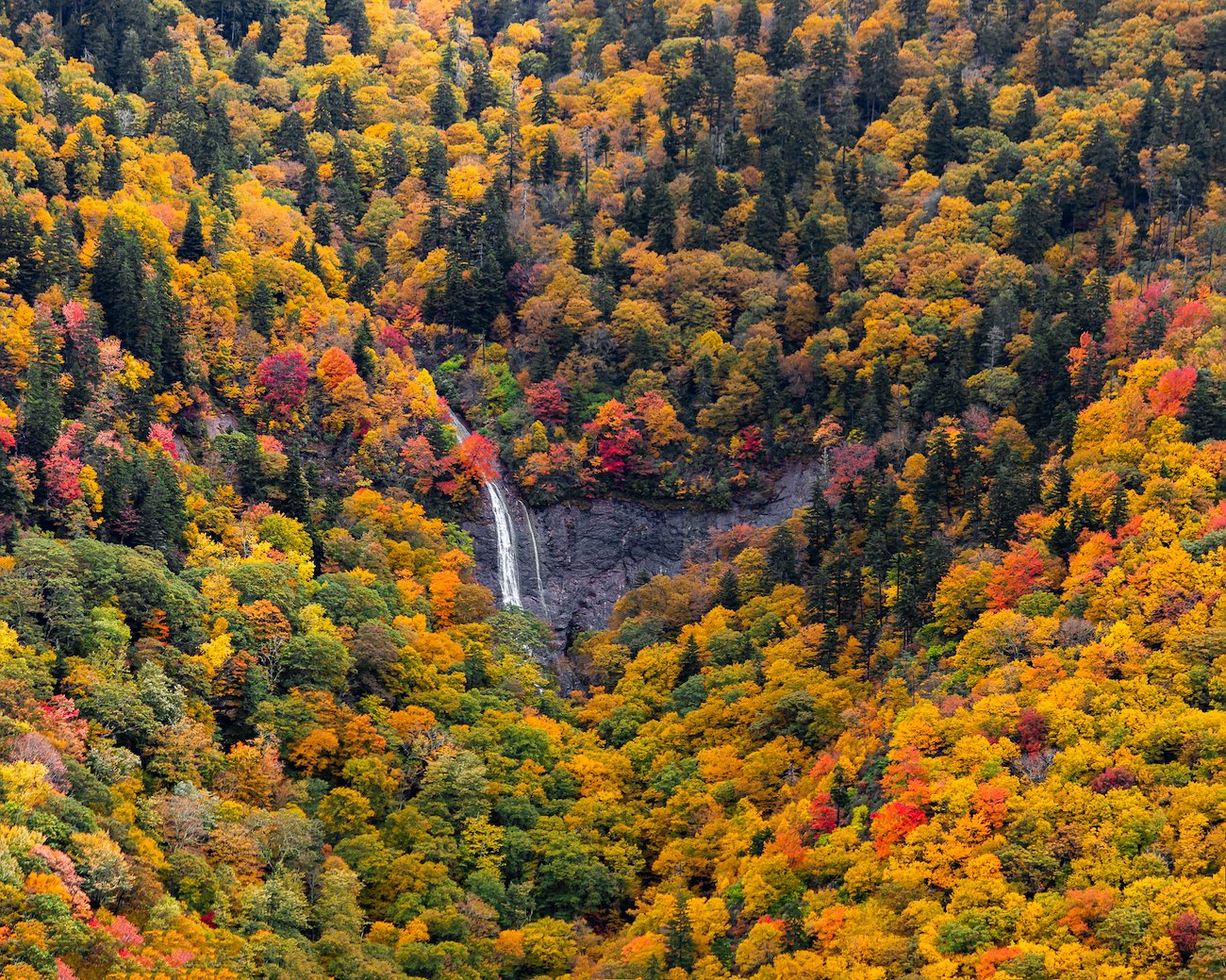 Glassmine Falls, photo by Evan Fisher