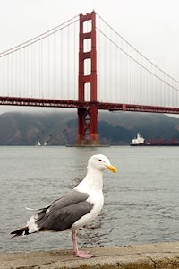 A photo in this story