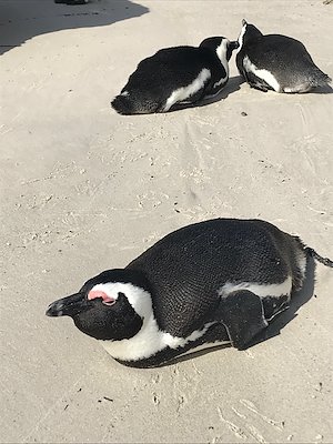 A photo in this story