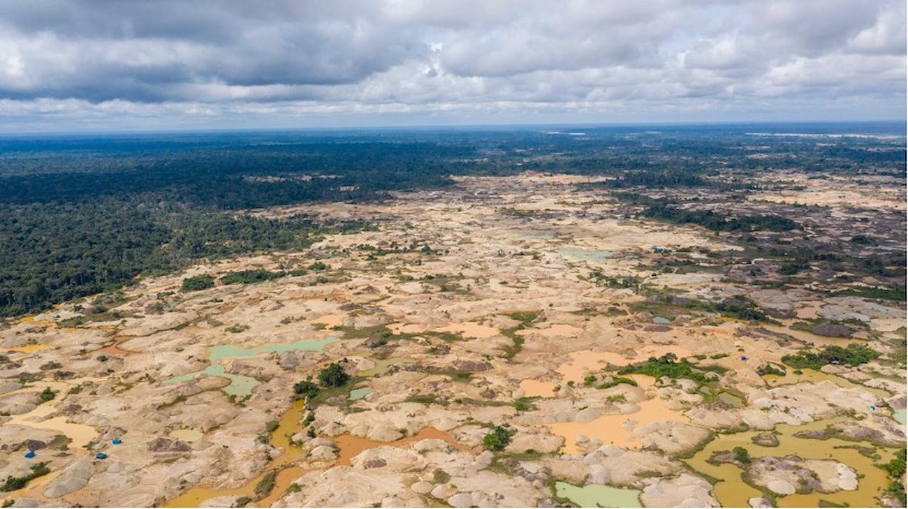 The Peruvian Amazon and its desolation. Photo: Alejandro Saldívar