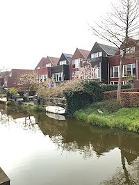 A photo in this story