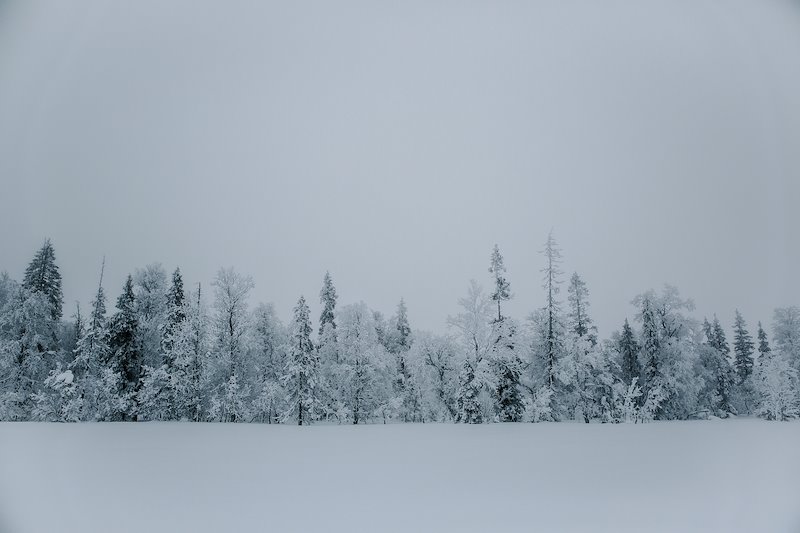 Finland_2016-85.jpg