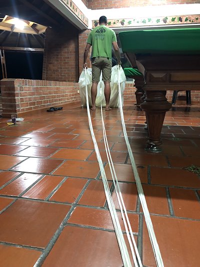A photo in this story