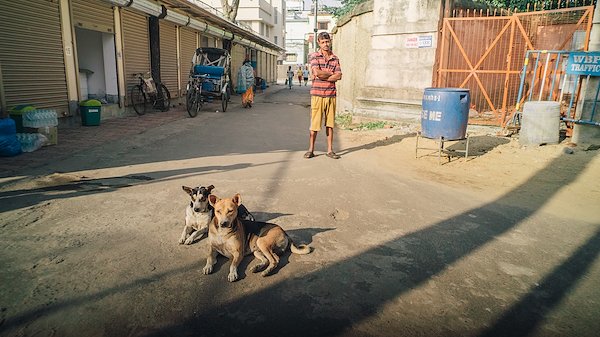 A photo in this story