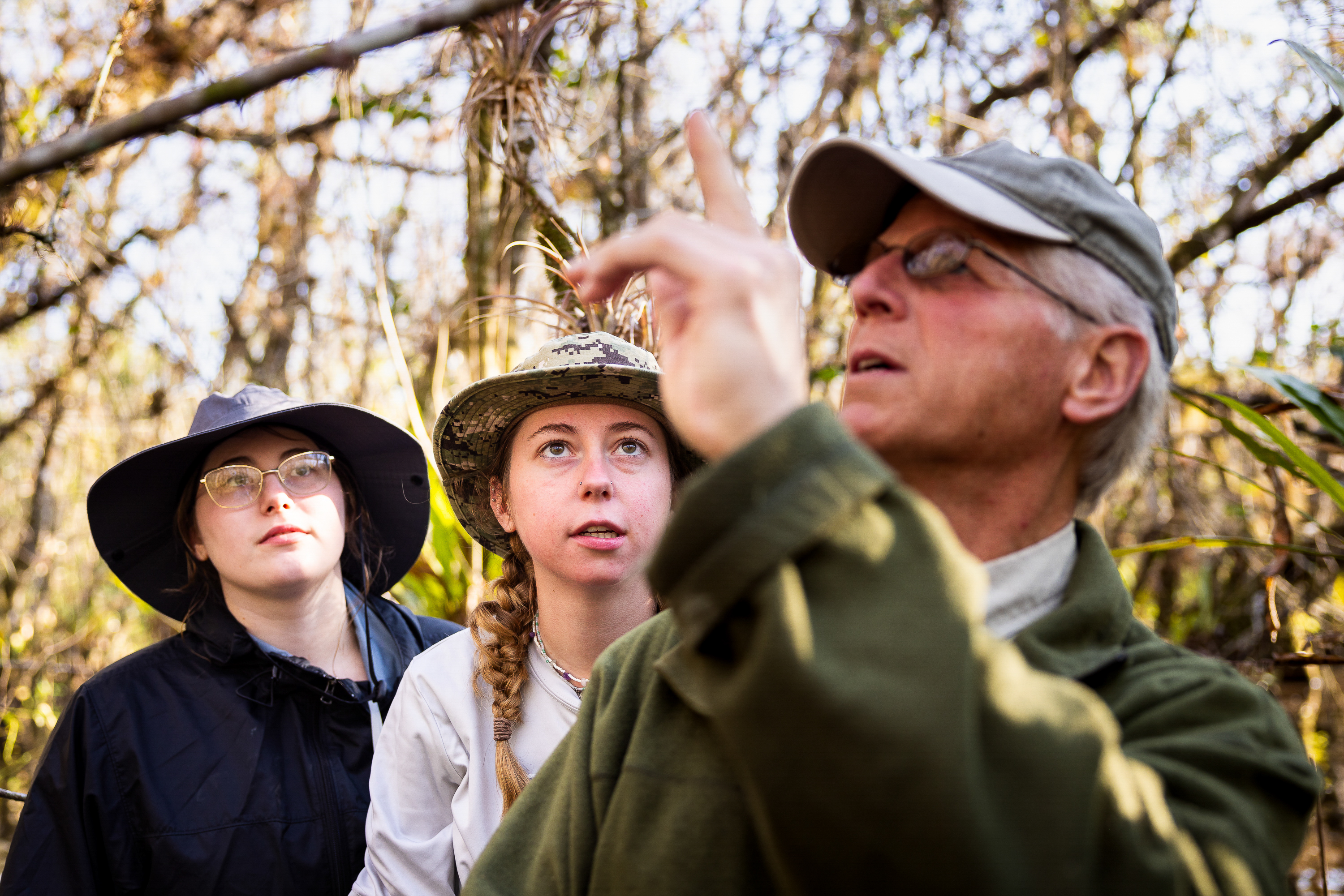 An older professor-type points out a detail in the trees to two other ...