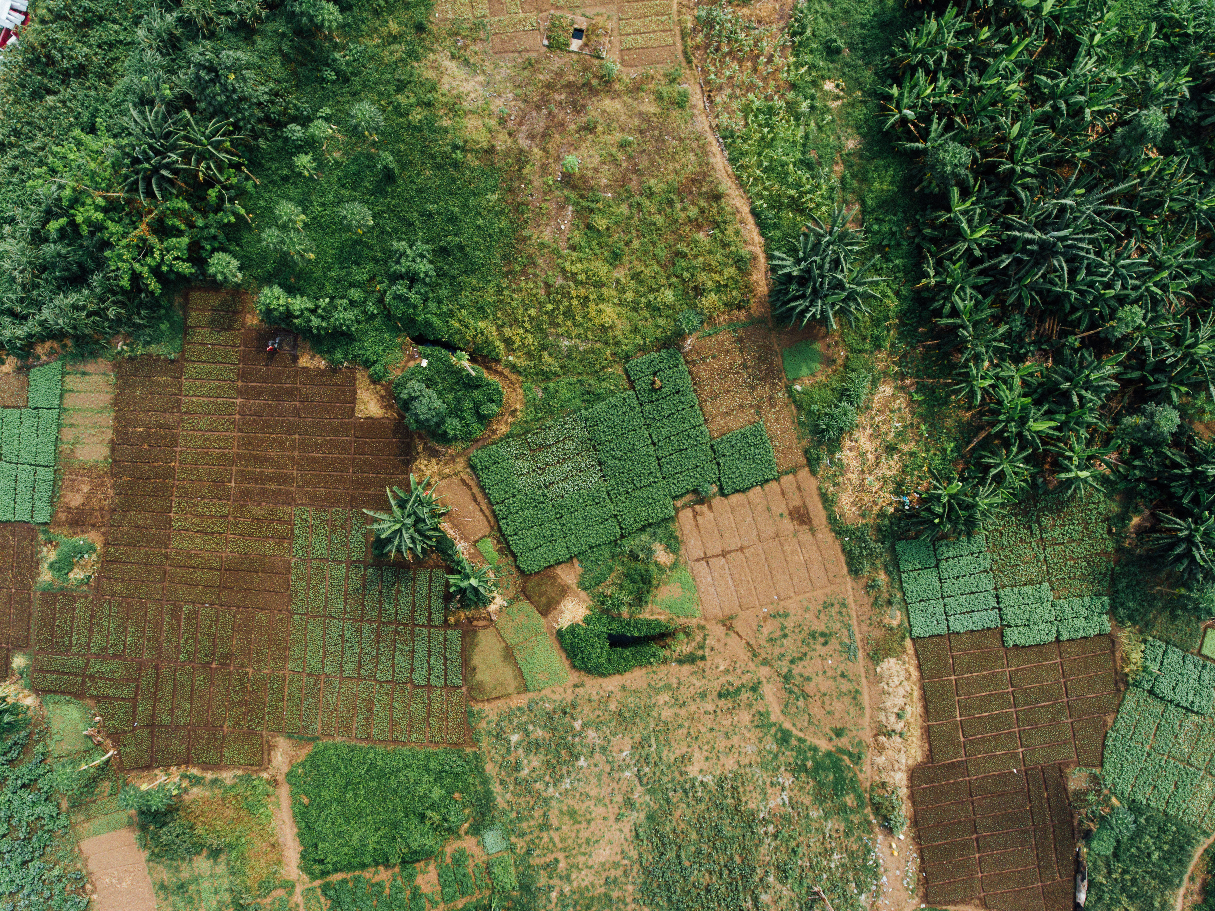 Unsustainable agricultural practices are a main driver of land ...