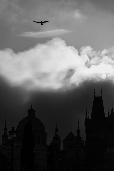 A photo in this story