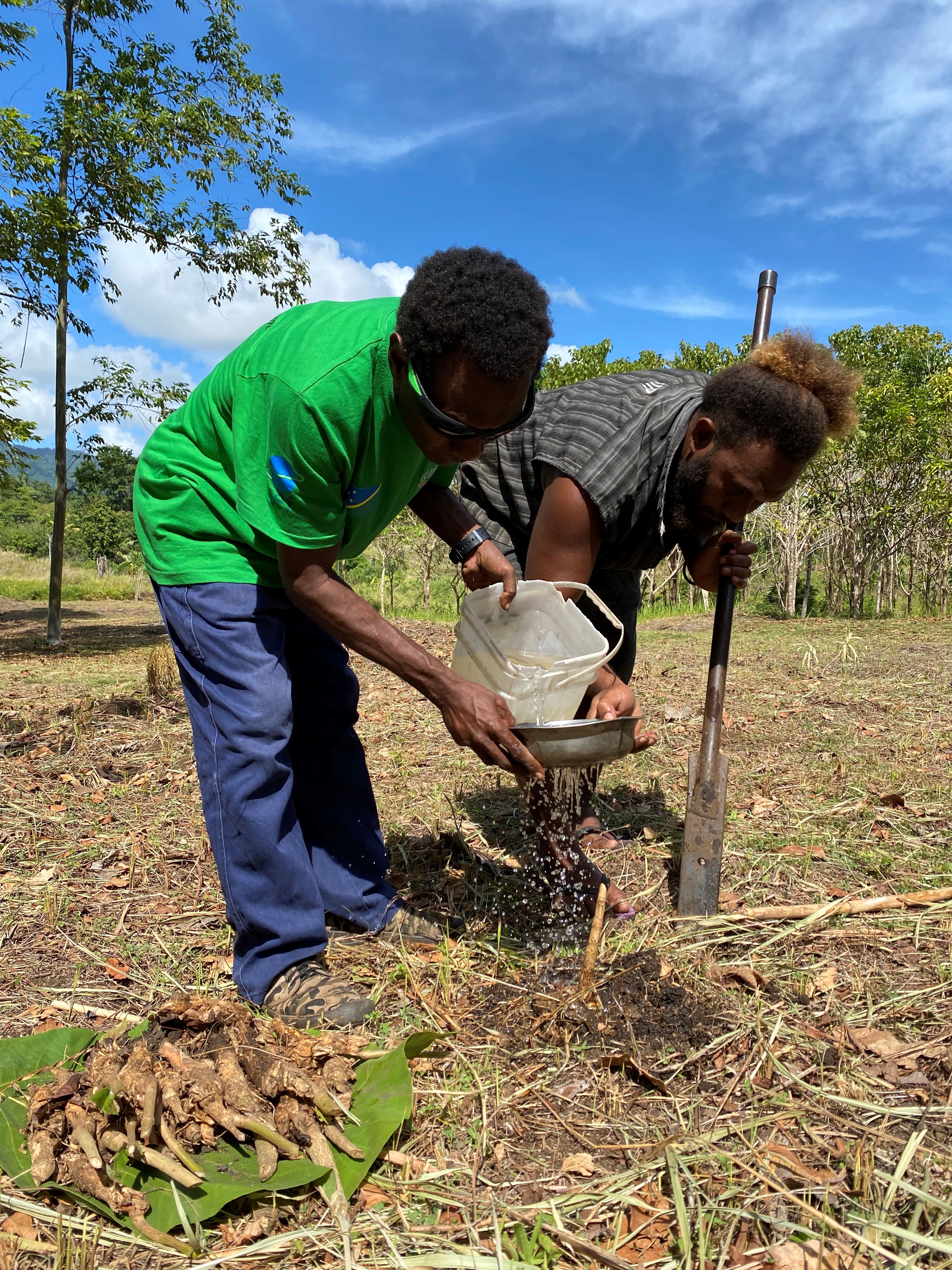 Trees shade the way to positive change