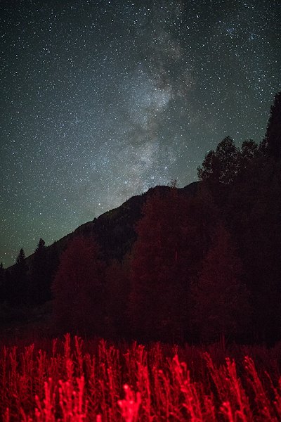 A photo in this story
