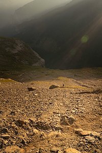 A photo in this story