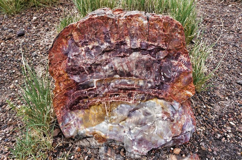 More-colours-Petrified-Forest.JPG