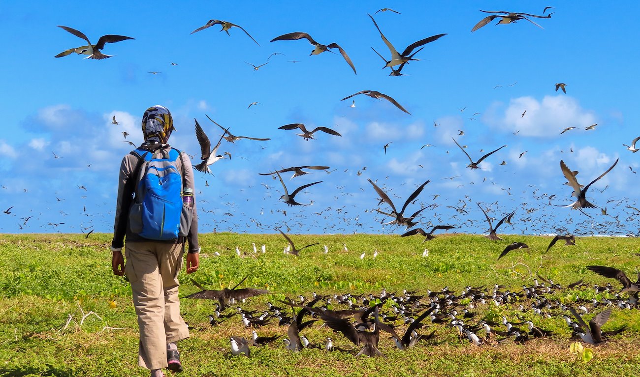 Farquhar atoll. Photo: Matthew Morgan of ICS