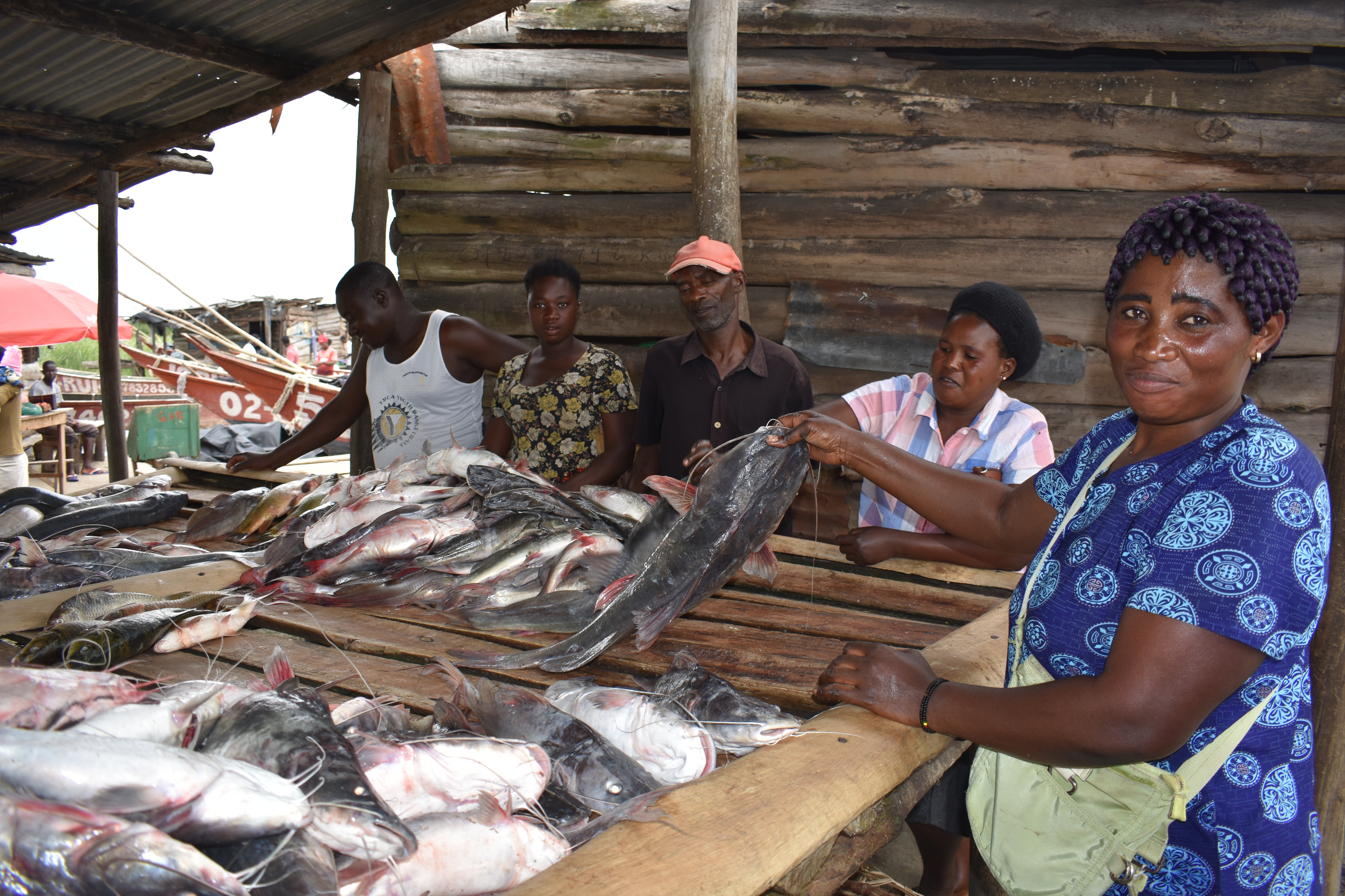 Lake Albert annual total quantity of fish caught was 376,617.6 tons ...