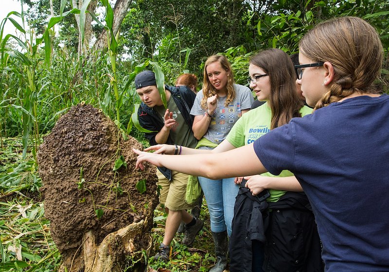 Students get a hands on experience with a termite mound in Cezar's farm.