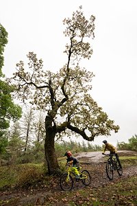 A photo in this story