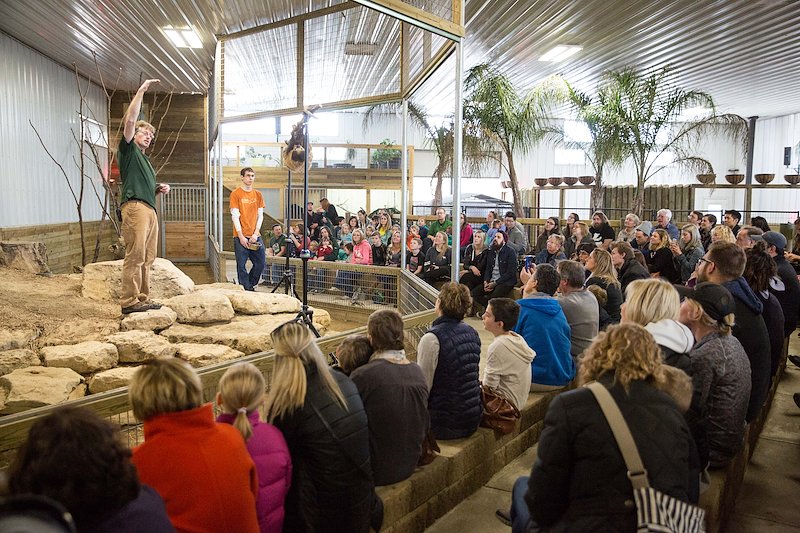 A full house to learn about and meet Poco the sloth