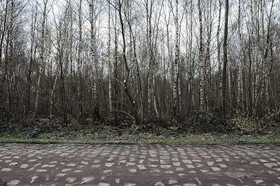 A photo in this story