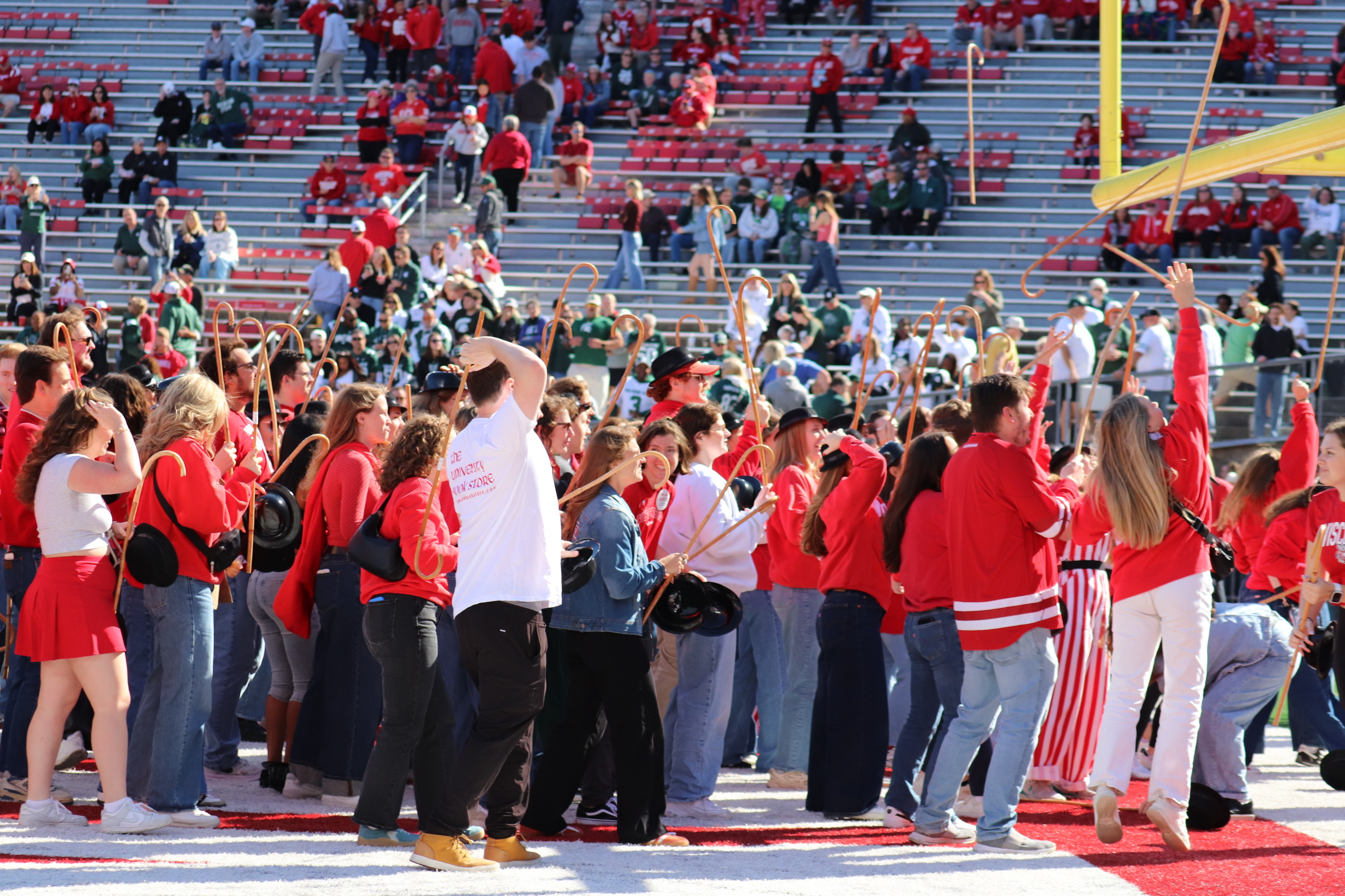 CANE TOSS 2026