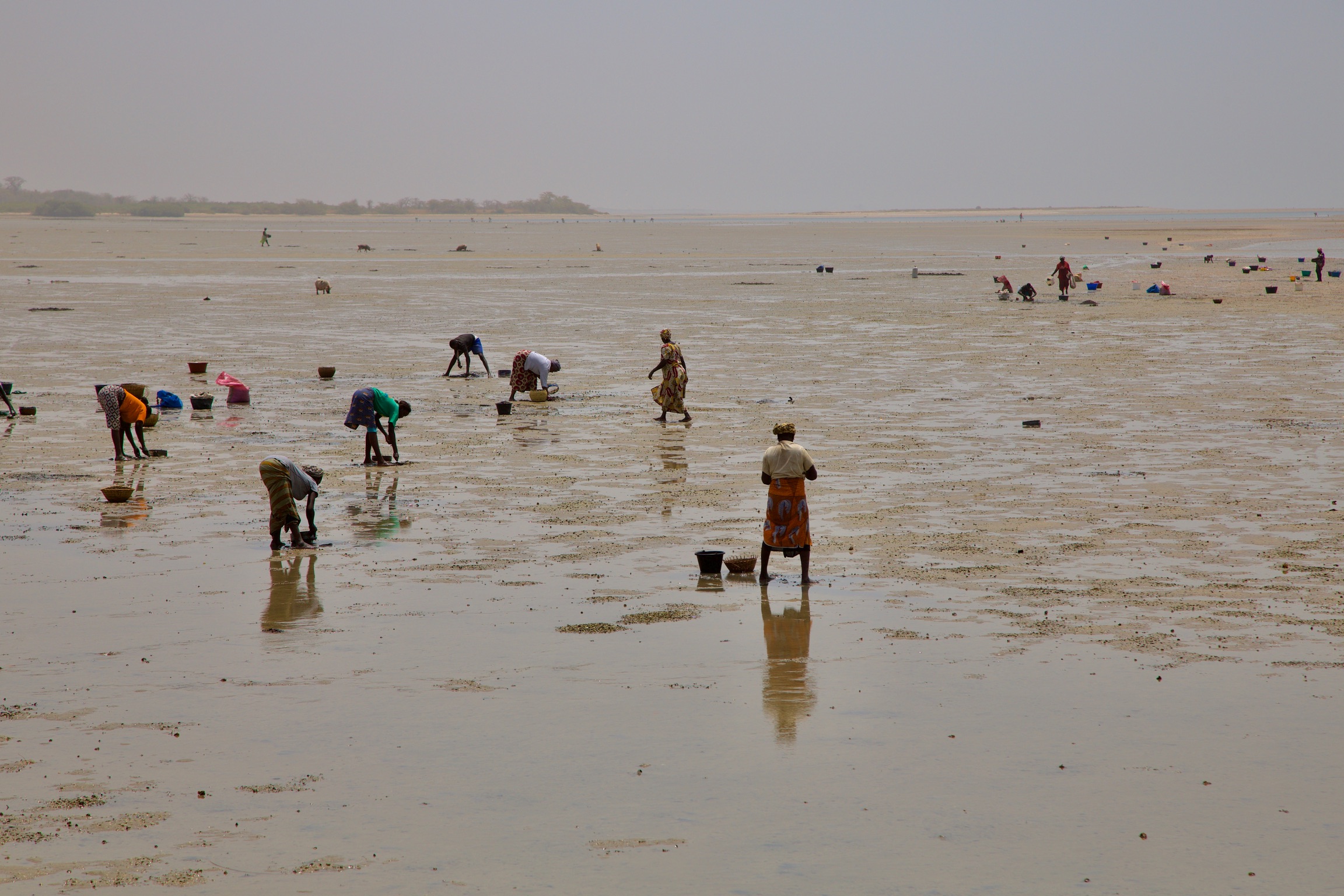 West Africa makes progress towards the 30x30 target
