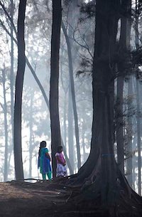 A photo in this story