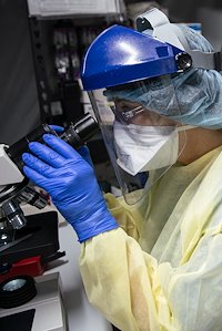 Natalie, a lab technician, reviews some bloodwork at the SP field hospital in Cremona.