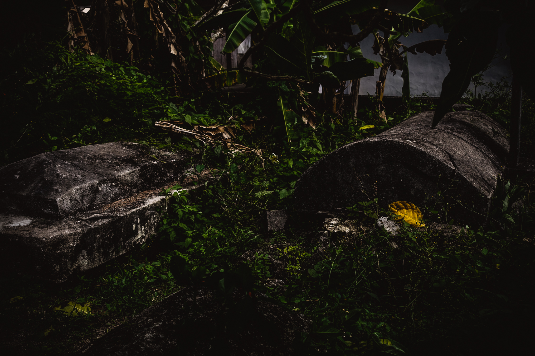 Graves of Rarotonga