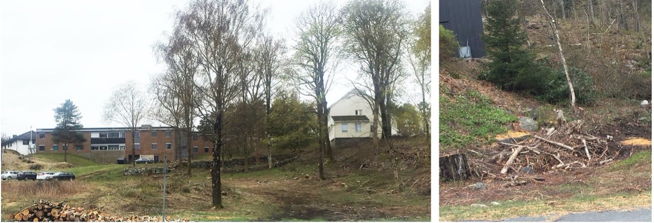 Deforestation in Arendal. Photo: Valentin Emelin.