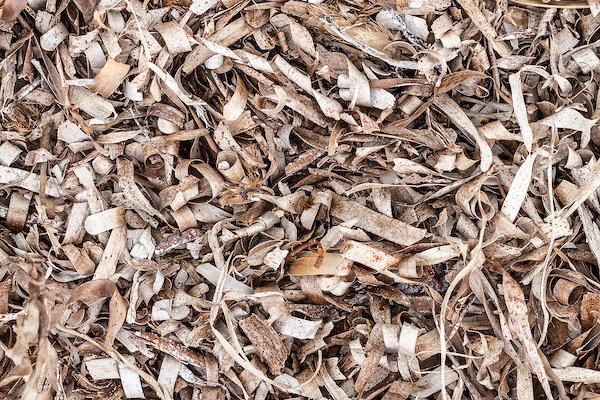 Dry leafs of the seagrass meadow Posidonia oceanica are exported to the beach during the summer period. Credit: Dimitris Poursanidis