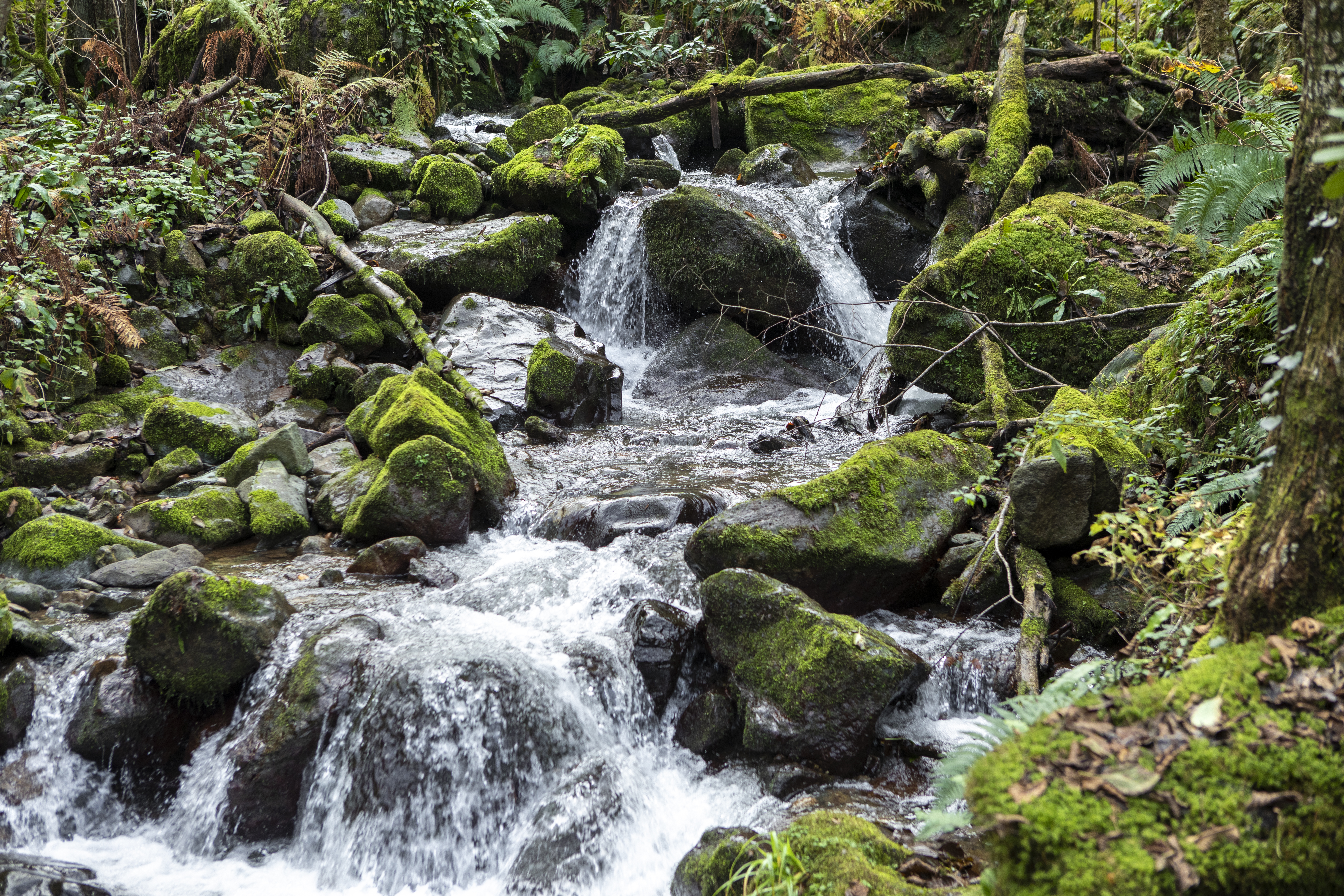 Around the region in 9 tourism stops