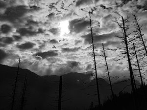 A photo in this story